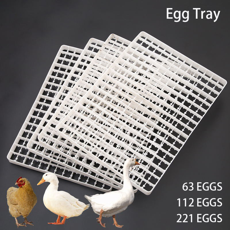 Quail Egg Incubator - Лоток для яиц автоматический, поднос для