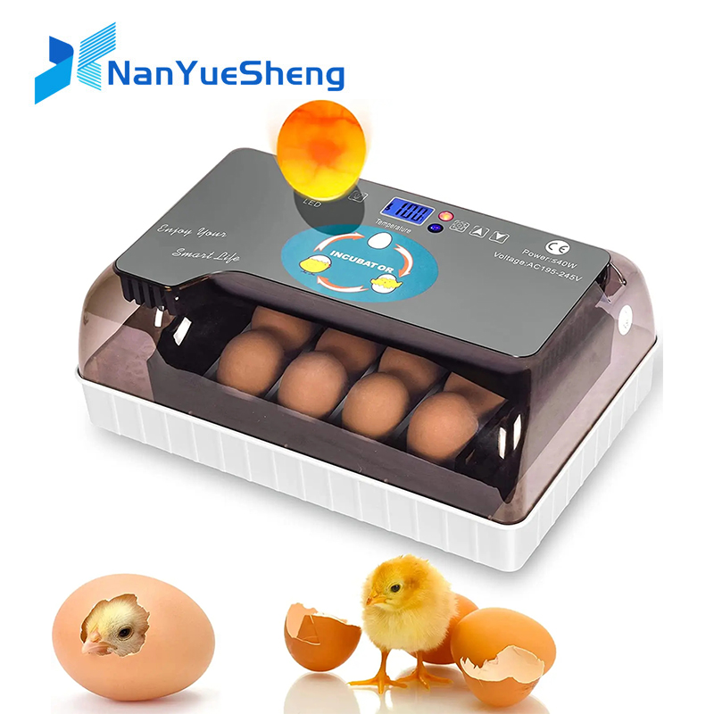 Quail Egg Incubator - Автоматическая HHD лучшая цифровая 12-кулачковая инкубационная