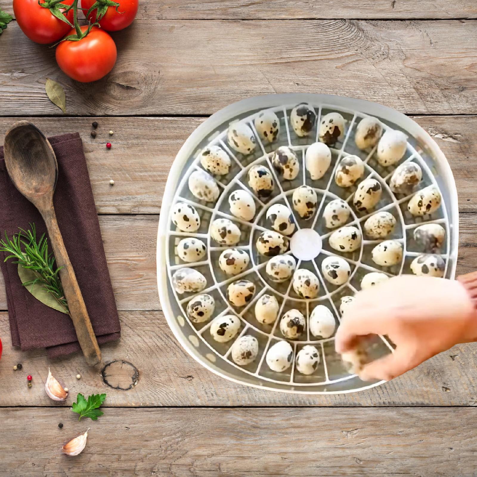 Quail Egg Incubator - Небольшой лоток для перепелиных птиц, емкость