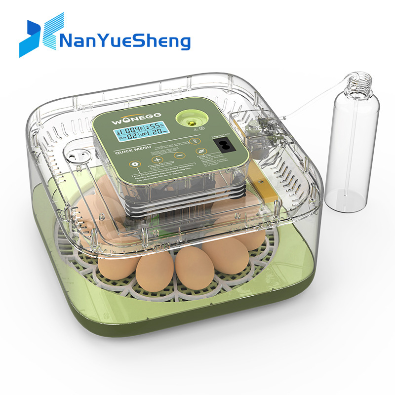 Quail Egg Incubator - Новый 12-керный инкубатор для куриных яиц,