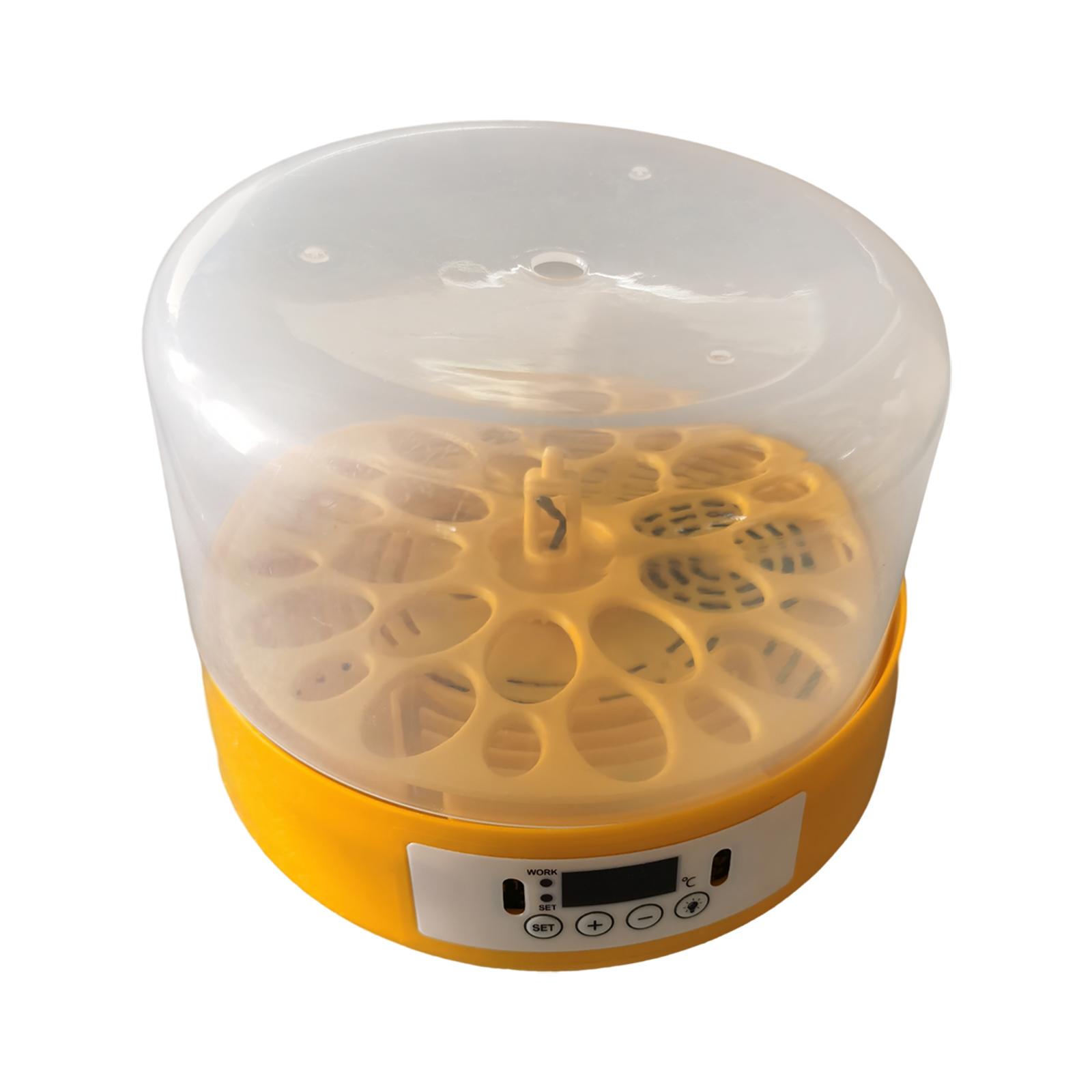 Инкубатор для яиц, переворачив – обзор и цена Quail Egg Incubator