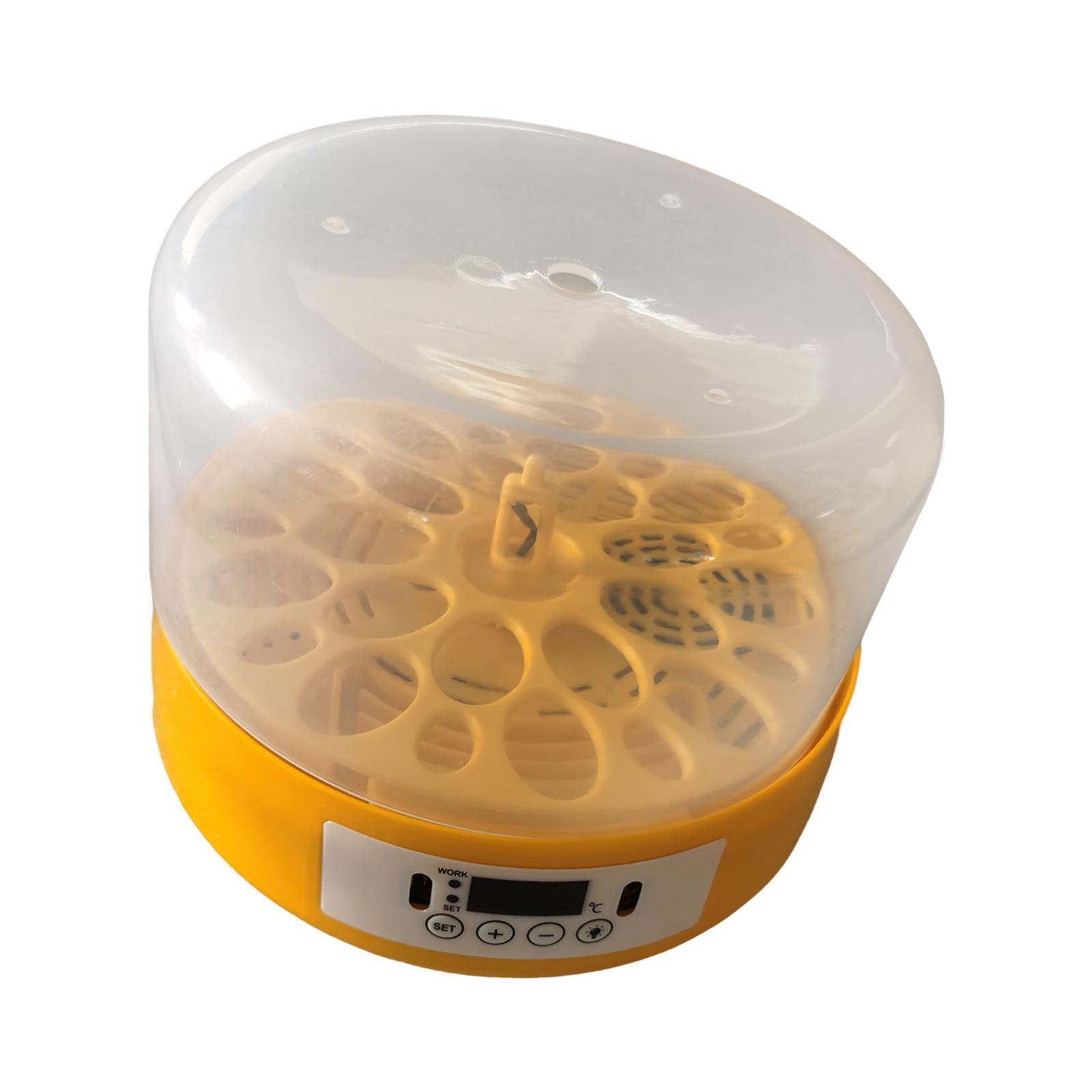 Инкубатор для яиц, переворачив – обзор и цена Quail Egg Incubator