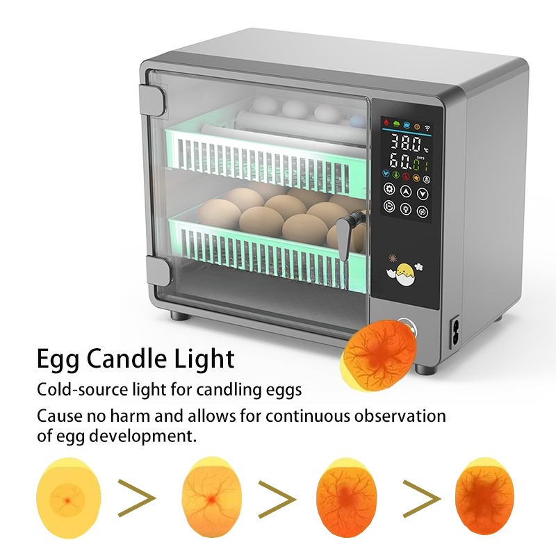 Прямые поставки с завода: полн – обзор и цена Quail Egg Incubator