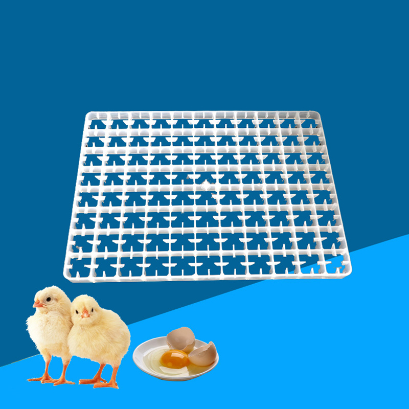 Лоток для яиц автоматический,  – обзор и цена Quail Egg Incubator