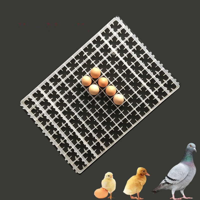 Лоток для яиц автоматический,  – обзор и цена Quail Egg Incubator