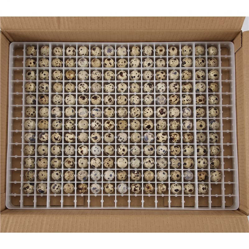 4 шт. лоток для инкубатора на  – обзор и цена Quail Egg Incubator