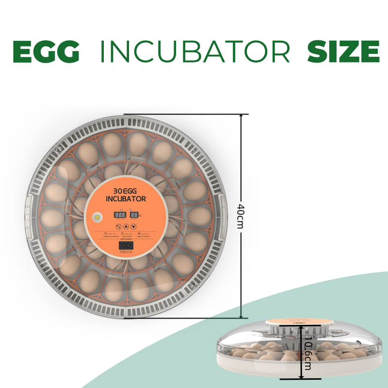 Инкубатор для яиц STLF30 для д – обзор и цена Quail Egg Incubator