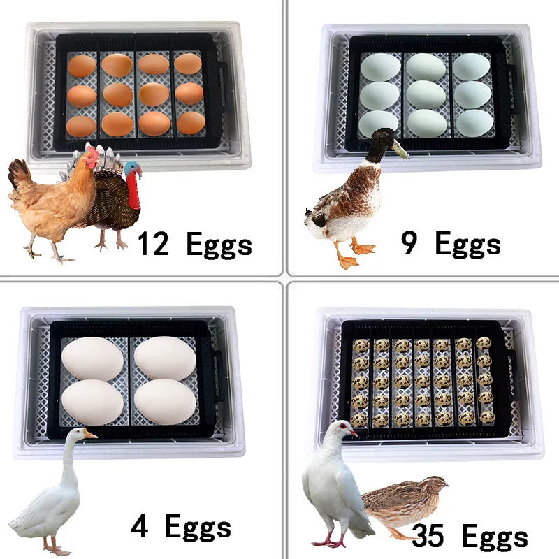 Автоматическая HHD лучшая цифр – обзор и цена Quail Egg Incubator