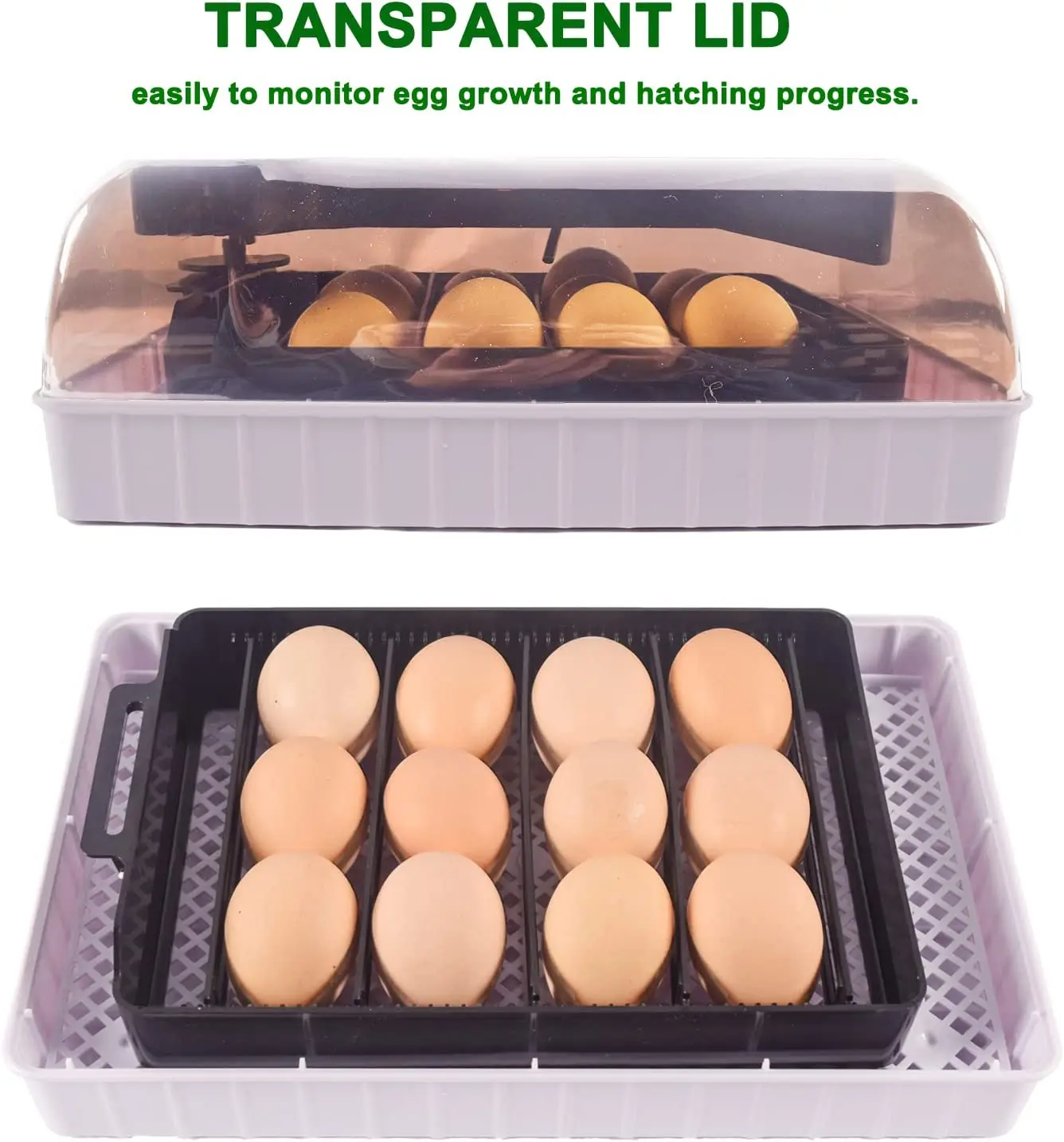 Автоматическая HHD лучшая цифр – обзор и цена Quail Egg Incubator