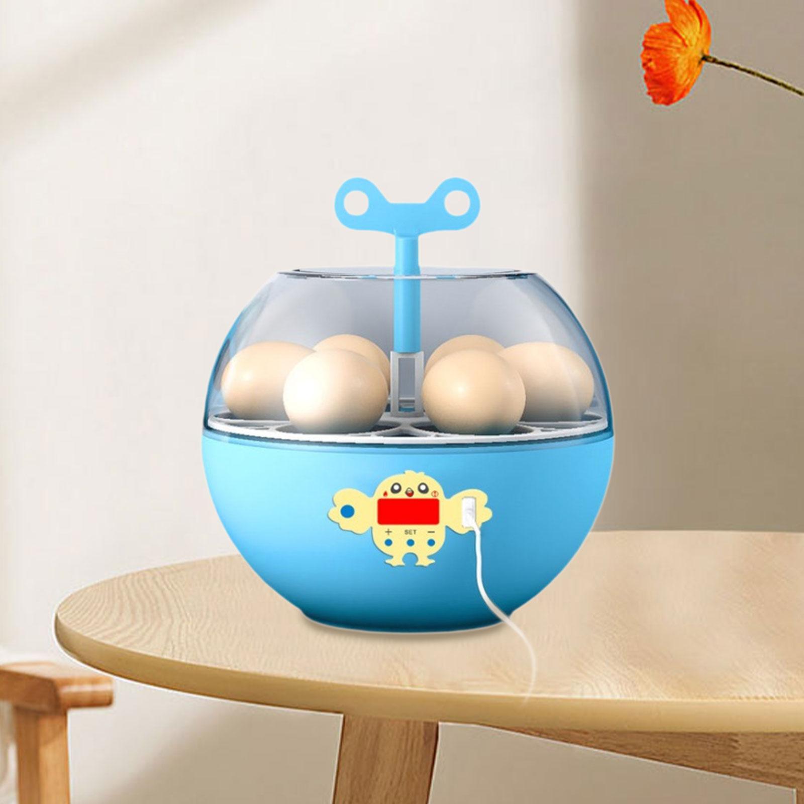 Инкубатор на 6 яиц, мини-инкуб – обзор и цена Quail Egg Incubator