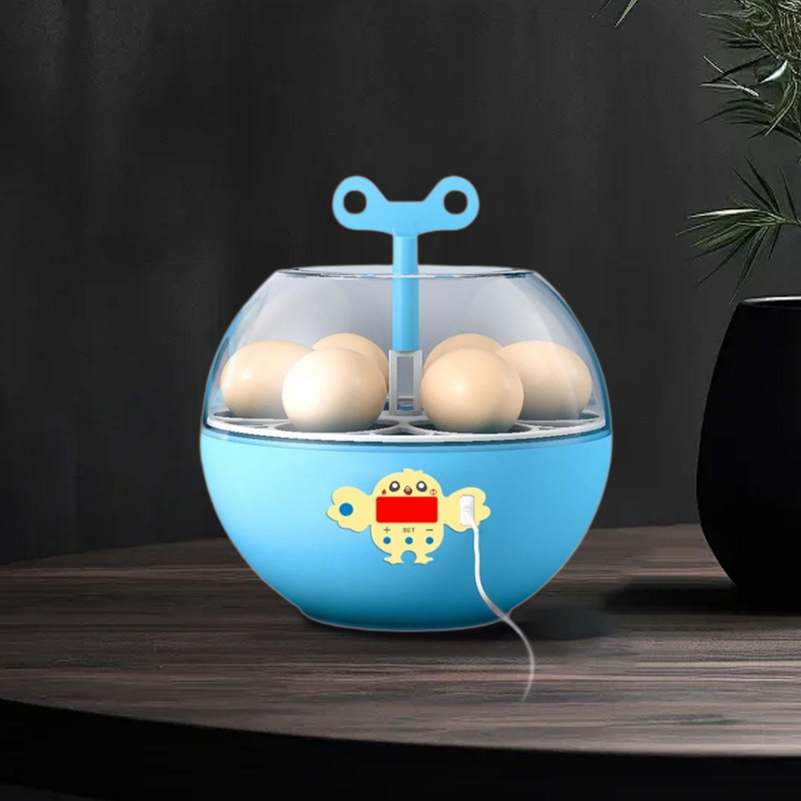 Инкубатор на 6 яиц, мини-инкуб – обзор и цена Quail Egg Incubator