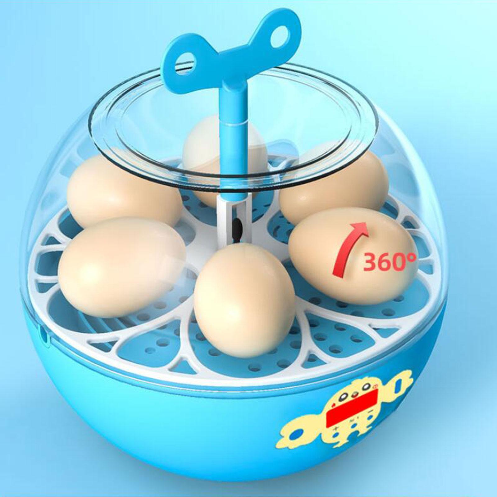 Инкубатор на 6 яиц, мини-инкуб – обзор и цена Quail Egg Incubator