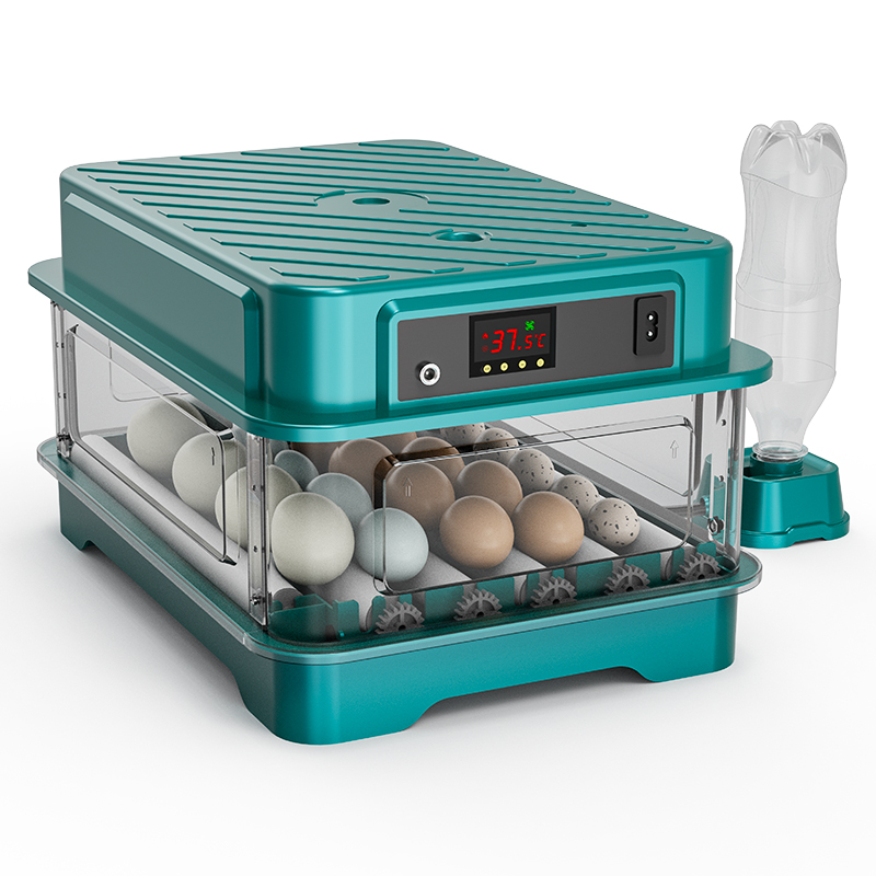 Полностью автоматический инкуб – обзор и цена Quail Egg Incubator