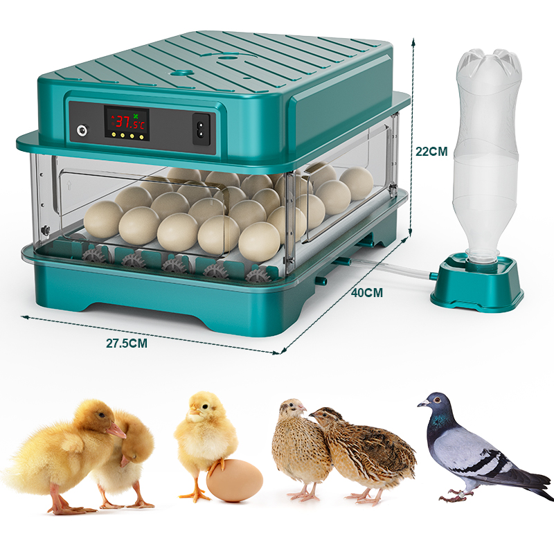 Полностью автоматический инкуб – обзор и цена Quail Egg Incubator