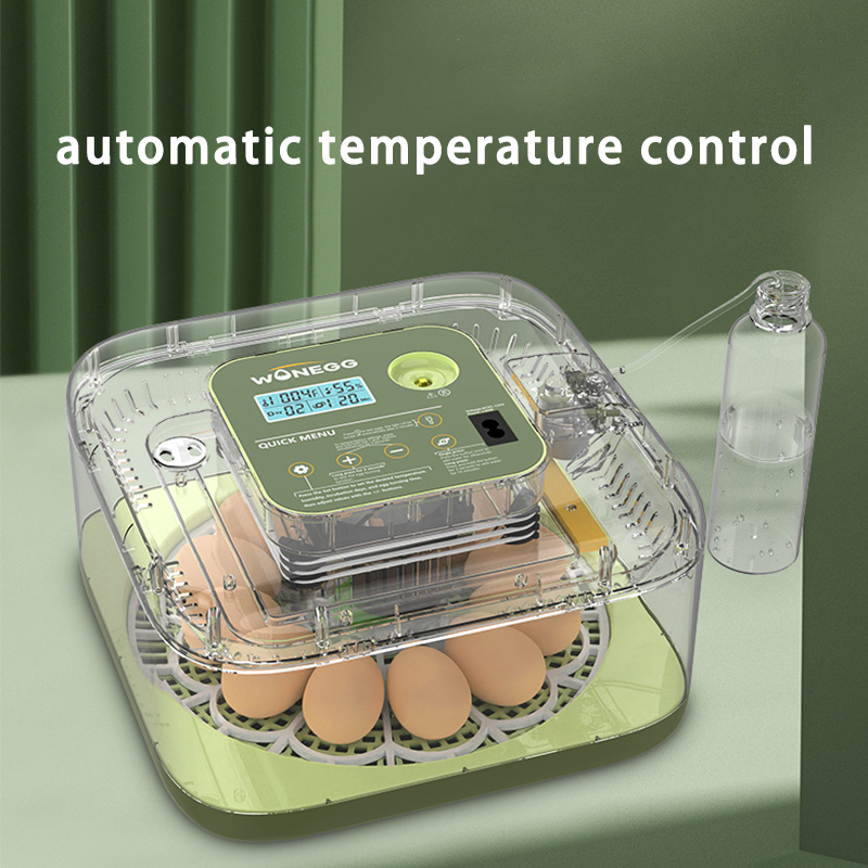 Новый 12-керный инкубатор для  – обзор и цена Quail Egg Incubator