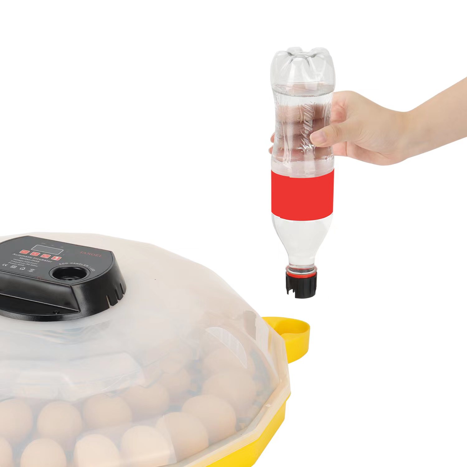 Мини-инкубатор для яиц с 99% п – обзор и цена Quail Egg Incubator