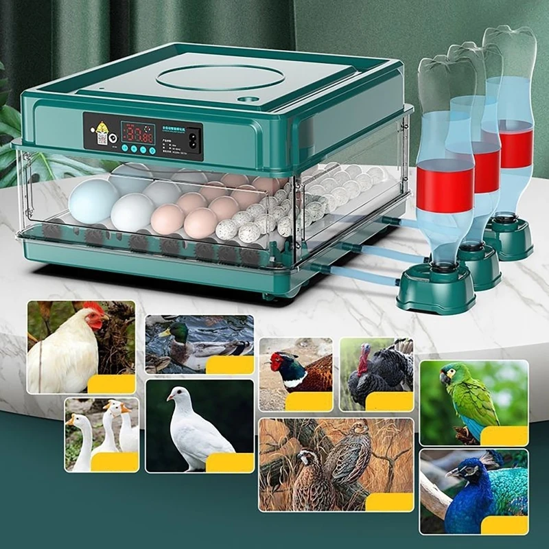 Инкубатор для цыплят, перепело – обзор и цена Quail Egg Incubator