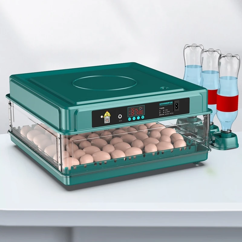 Инкубатор для цыплят, перепело – обзор и цена Quail Egg Incubator