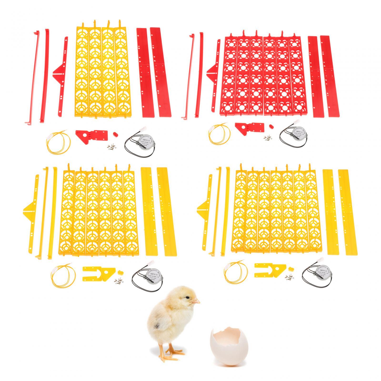 Пластиковый лоток для инкубато – обзор и цена Quail Egg Incubator